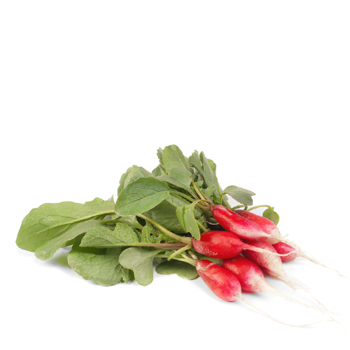 Lal Mula (Red Radish)~ 1 Bundle