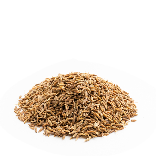 Jira Mosla (Cumin)~100 Gm