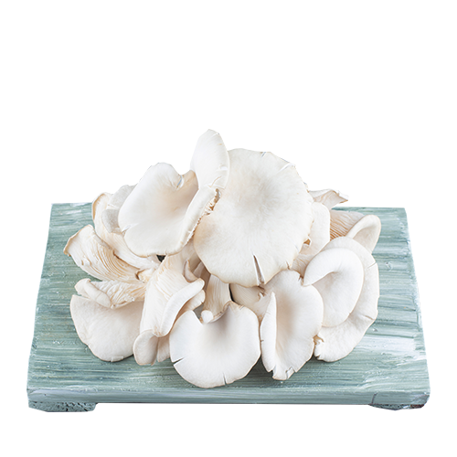 Oyster Mushroom~ 250 Gm