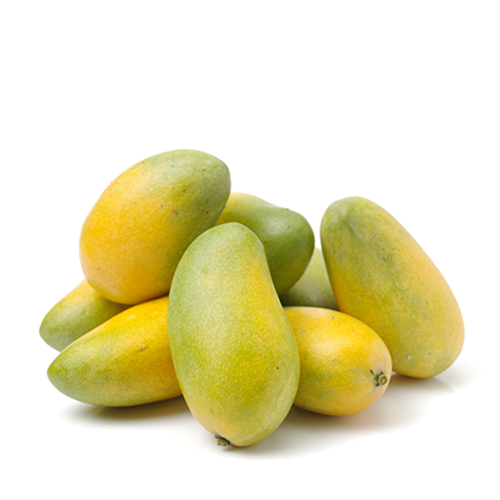 Premium Amrapali Mango~ 1 kg